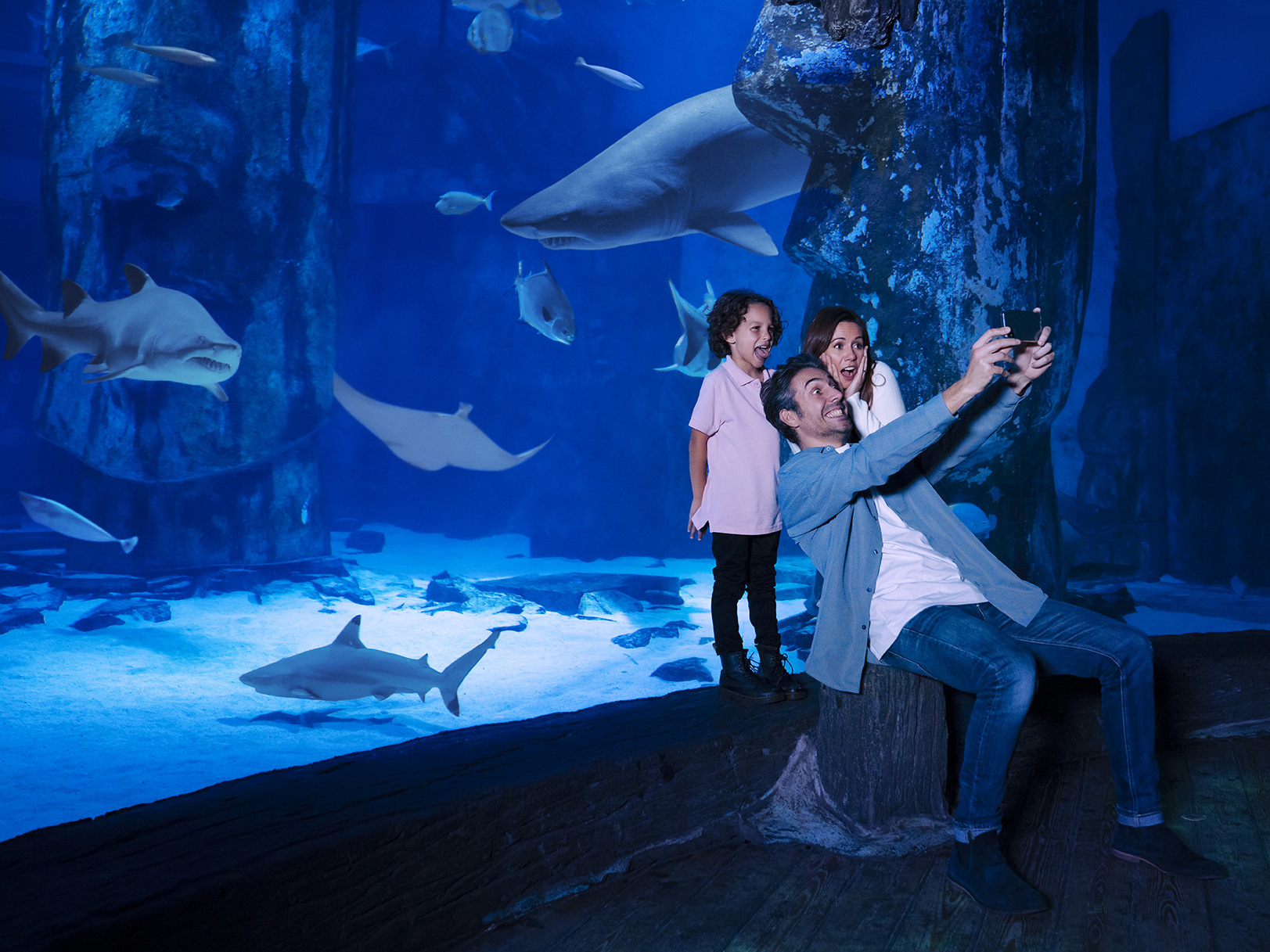 sea-life-london-aquarium-tickets-attractiontickets